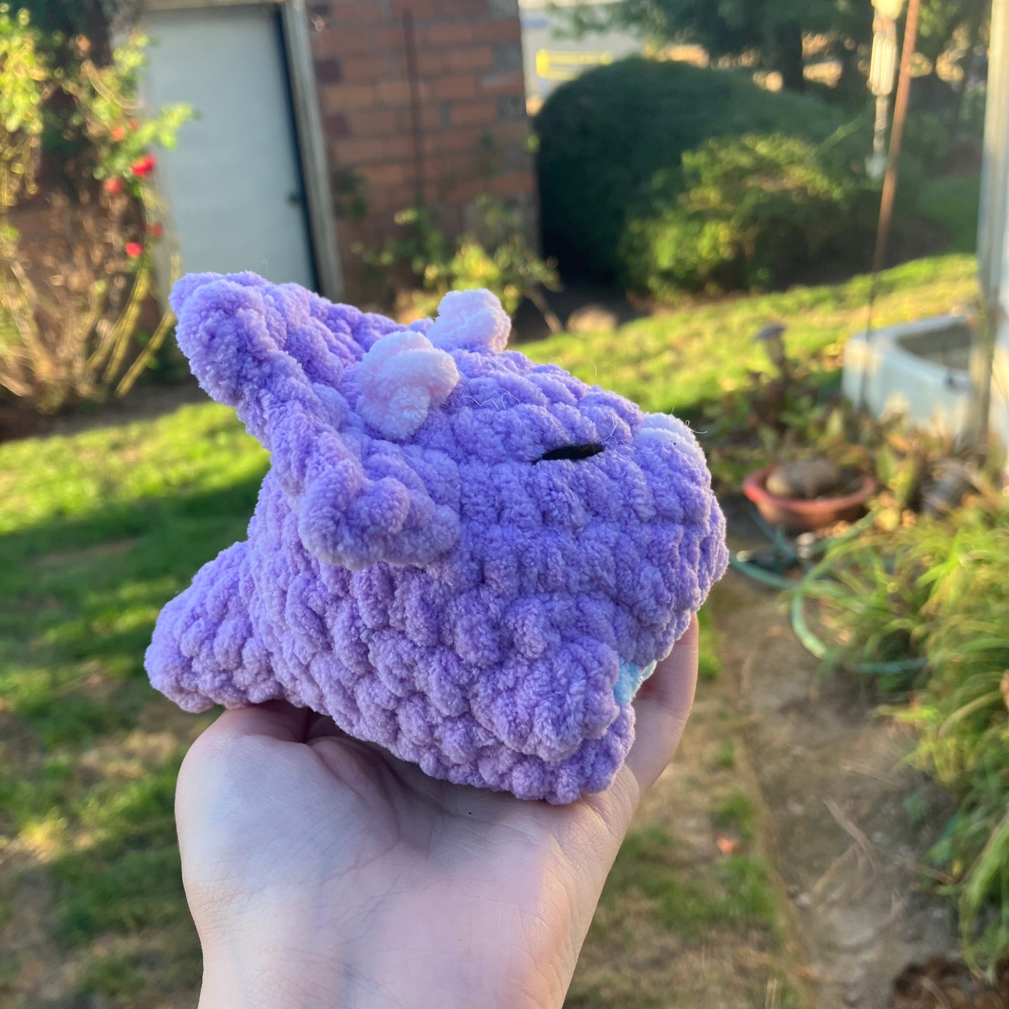 Triceratops