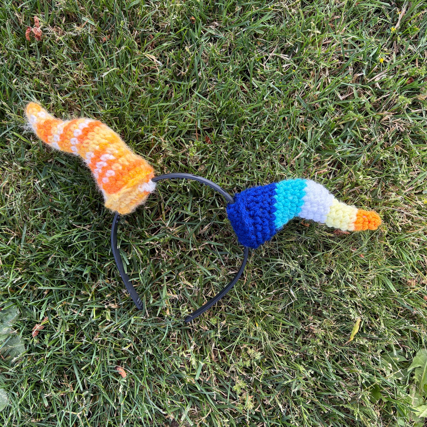 Medium Aroace Horns