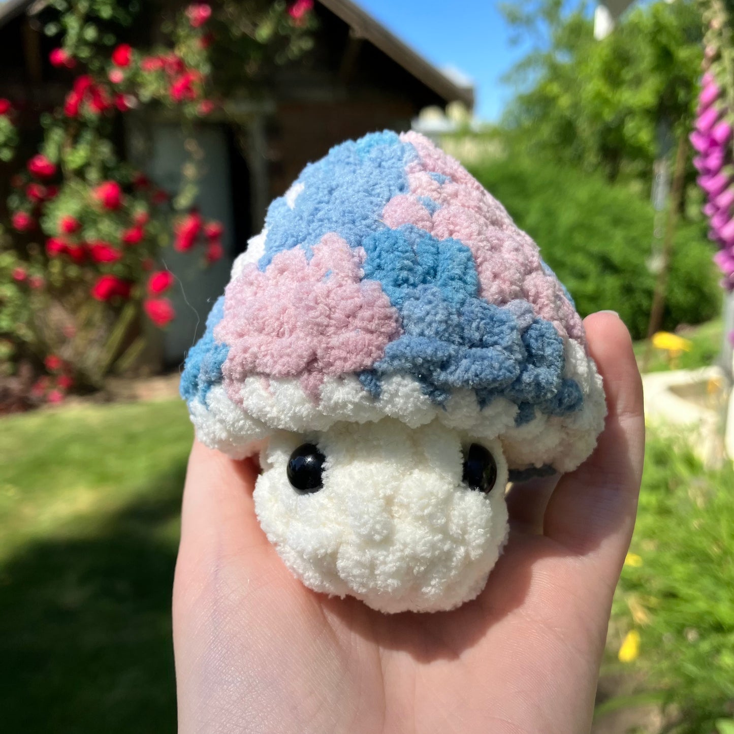 Pride mushroom pops