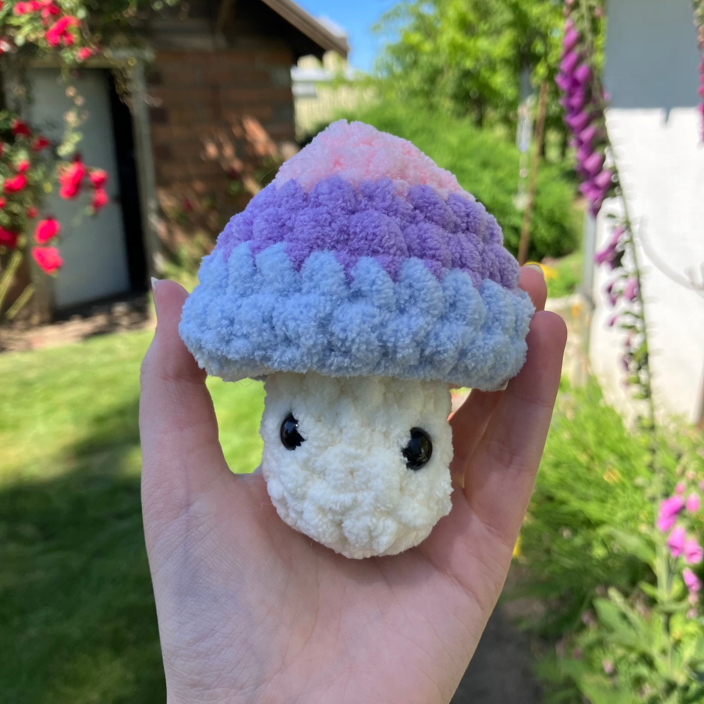 Pride mushroom pops